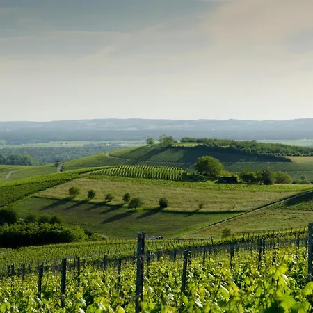 Biohotel Alte Post ミュールハイム