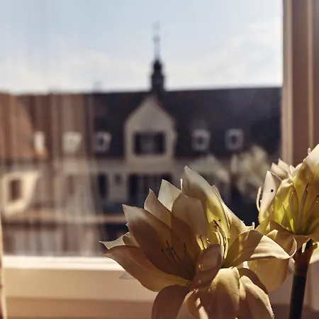 Biohotel Alte Post ホテル