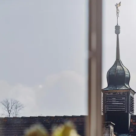 Biohotel Alte Post מלון