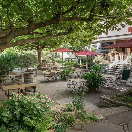 מלון Biohotel Alte Post 4*