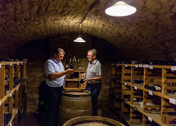 Hotell Biohotel Alte Post 4*