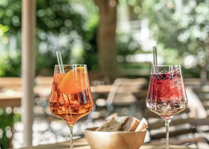 Biohotel Alte Post 4* Mullheim (Baden-Wurttemberg)